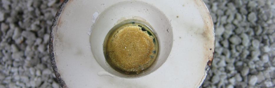 The cast and cooing gold sits within the still hot plaster mold.