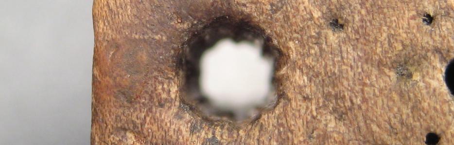 A closeup image of the chain hole used most often, showing the grooving caused by the links.