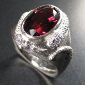 silver and garnet ring symbolizing schizophrenia