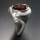 silver and garnet ring symbolizing schizophrenia