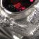 silver and garnet ring symbolizing schizophrenia